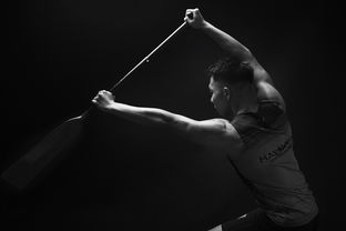 米兰体育平台-全民健身摄影作品展览走进体育馆大厅，体育运动摄影作品展  第1张